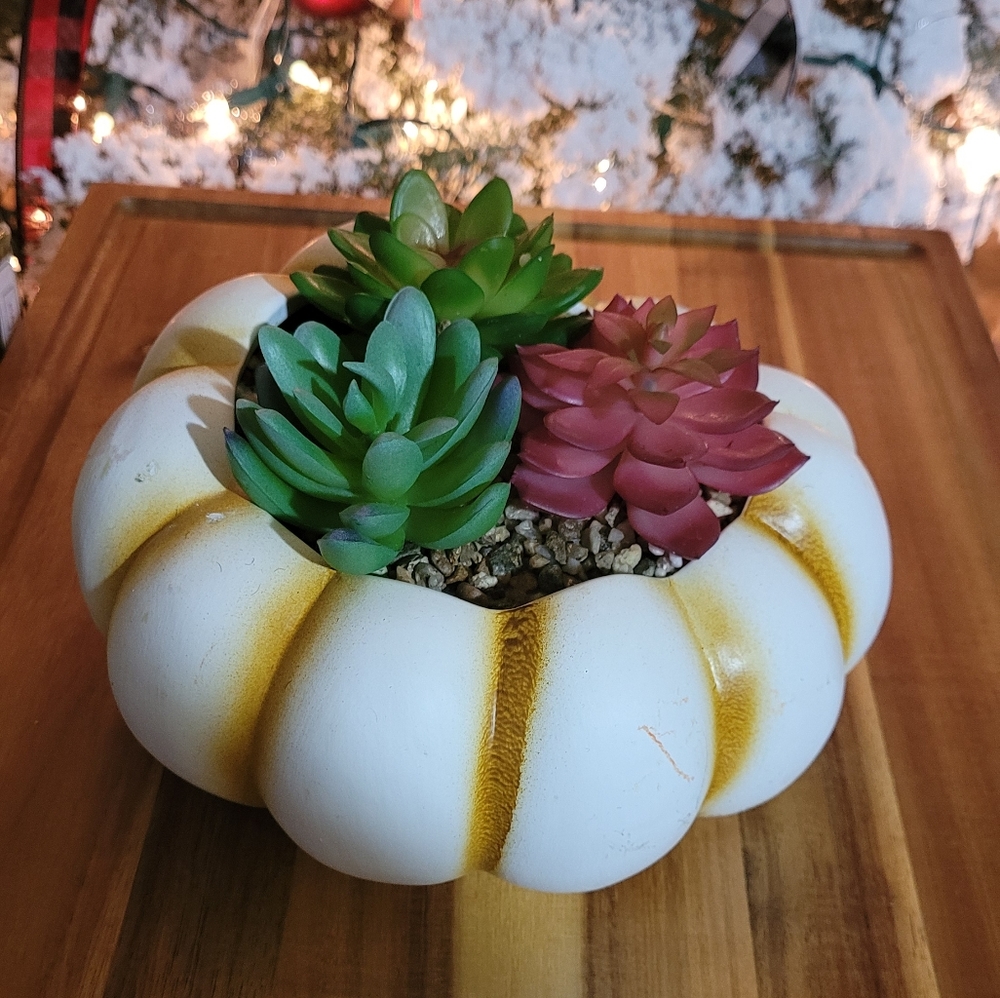 CAFFCO INTERNATIONAL PUMPKIN THANKSGIVING